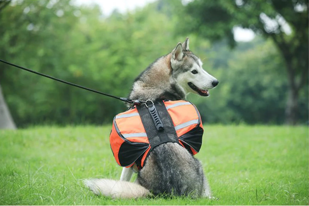 Fidgetstein Outdoor Dog Saddle Backpack – Reflective Adventure Pack