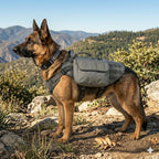 Fidgetstein Tactical Dog Backpack Harness – Outdoor Adventure Pack