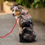 Fidgetstein Retro Dog Backpack – Adjustable Walking & Hiking Pack