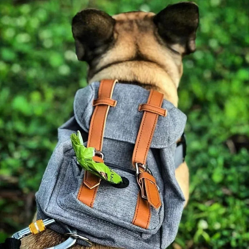Fidgetstein Retro Dog Backpack – Adjustable Walking & Hiking Pack