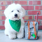 Fidgetstein Retro Dog Backpack – Adjustable Walking & Hiking Pack