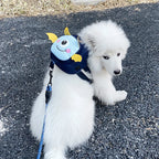 Fidgetstein Dog Walking Backpack – Treat & Adventure Bag