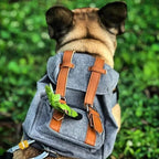 Fidgetstein Retro Dog Backpack – Adjustable Walking & Hiking Pack