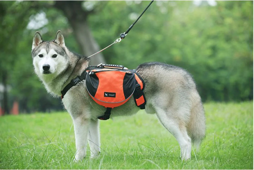 Fidgetstein Outdoor Dog Saddle Backpack – Reflective Adventure Pack
