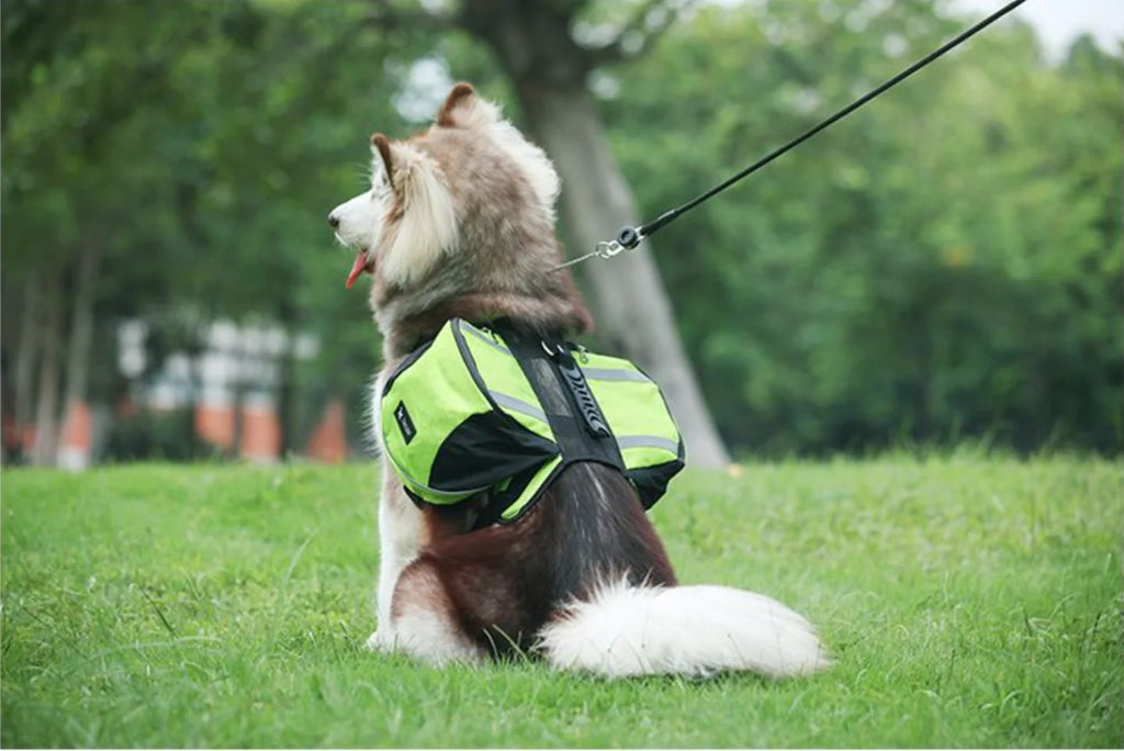 Fidgetstein Outdoor Dog Saddle Backpack – Reflective Adventure Pack